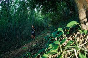 BIB: 
                            <button type="button" onclick="openModal(28124130)" class="btn btn-primary btn-sm float-right btn-popup" data-toggle="modal" data-target=".modal-high-quality">
                        <i class="fas fa-shopping-cart"></i> Add to Cart
                    </button>
                                            <button type="button" onclick="isThisMe(28124130, true)" class="btn btn-success btn-sm float-right btn-popup btn-isme hidden" data-toggle="tooltip" data-placement="bottom" title="นี่คือรูปของคุณใช่ไหม คลิกที่นี่เพื่อเอาเข้าอัลบั้ม">
                        <i class="fas fa-plus"></i> Add to album
                    </button>
                    <button type="button" onclick="isThisMe(28124130, false)" class="btn btn-warning btn-sm float-right btn-popup btn-isnotme hidden">
                        <i class="fas fa-ban"></i> Remove from album
                    </button>